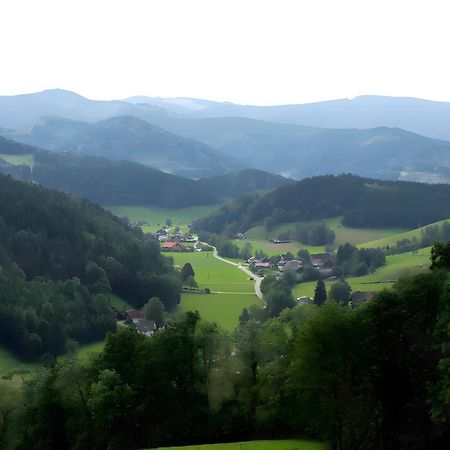 Ruhige Schwarzwald Ferienwohnung Buchenbach  Exteriör bild