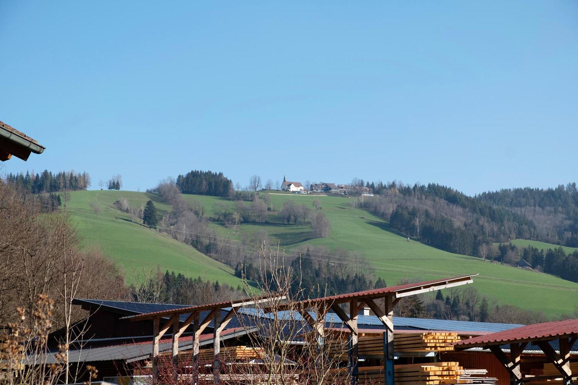 Ruhige Schwarzwald Ferienwohnung Buchenbach  Exteriör bild
