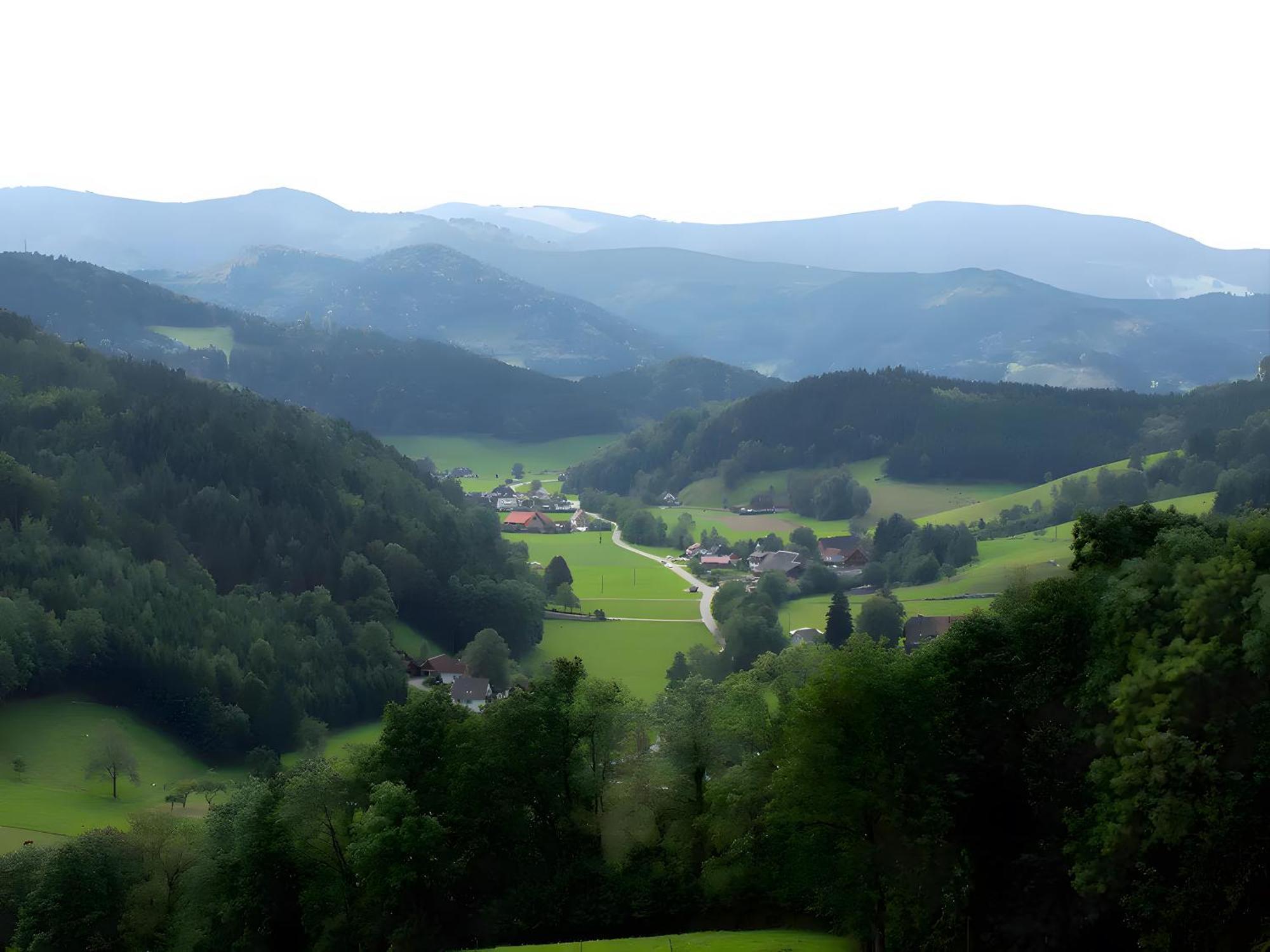 Ruhige Schwarzwald Ferienwohnung Buchenbach  Exteriör bild